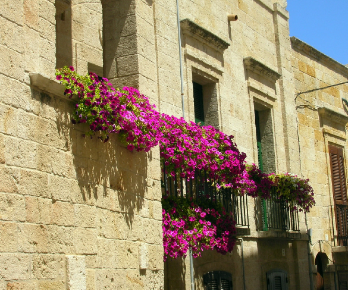 Marzo in fiore: i segreti per un balcone colorato anche con il freddo