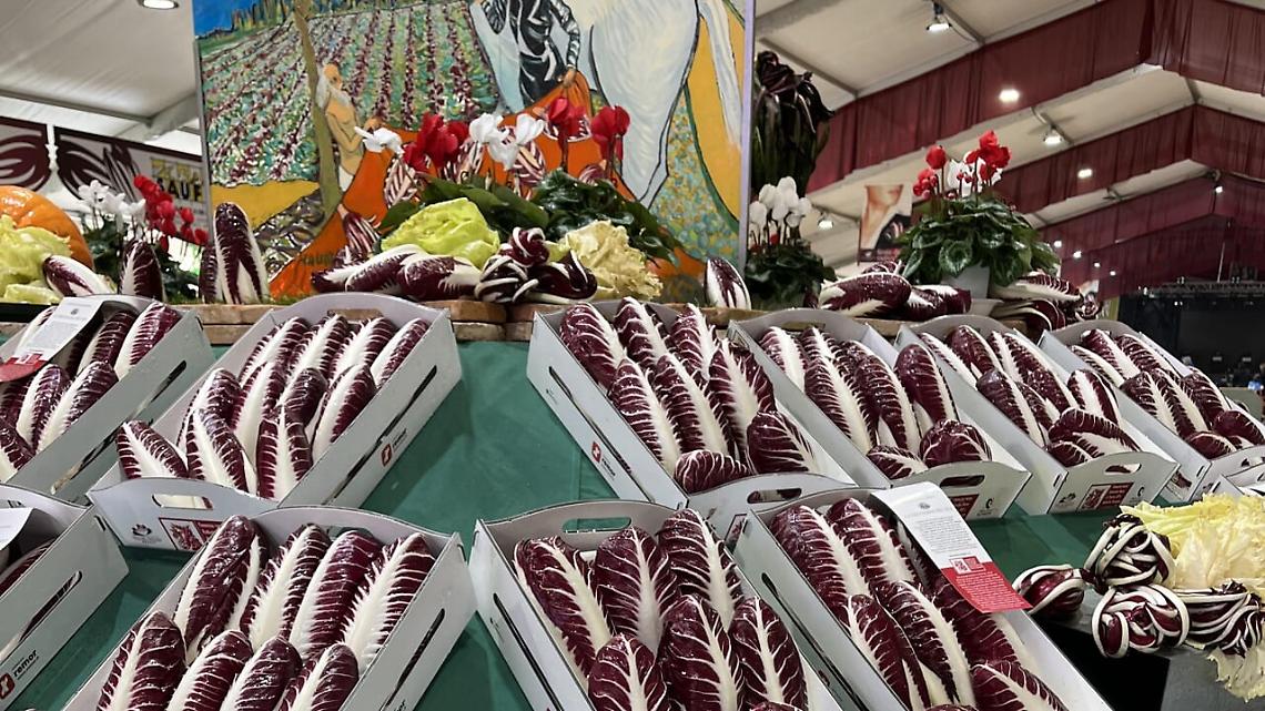 Miranese. Pro Loco attivit&agrave; a rischio 