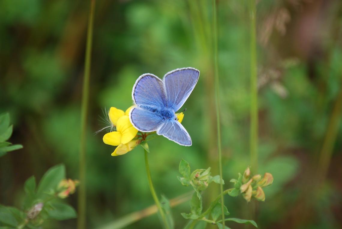 Un milione di euro per il paesaggio del Polesine