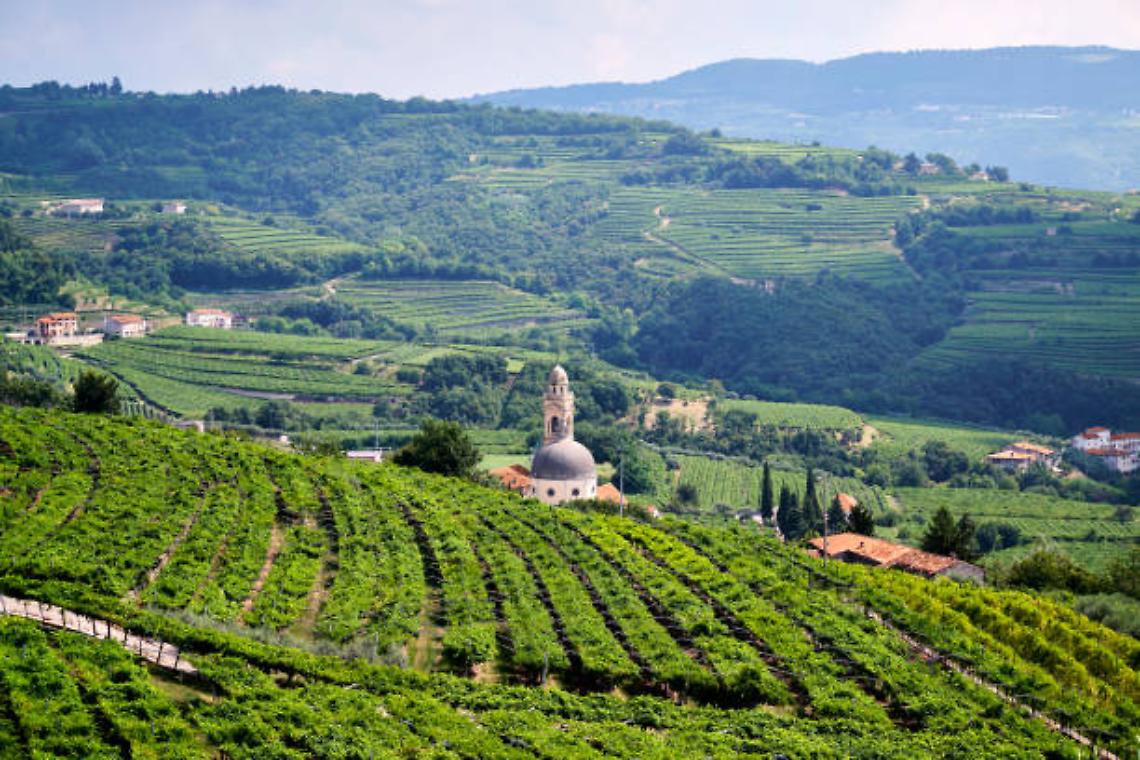 Wine Escape in Valpolicella: un weekend tra vigneti, Amarone e buona compagnia