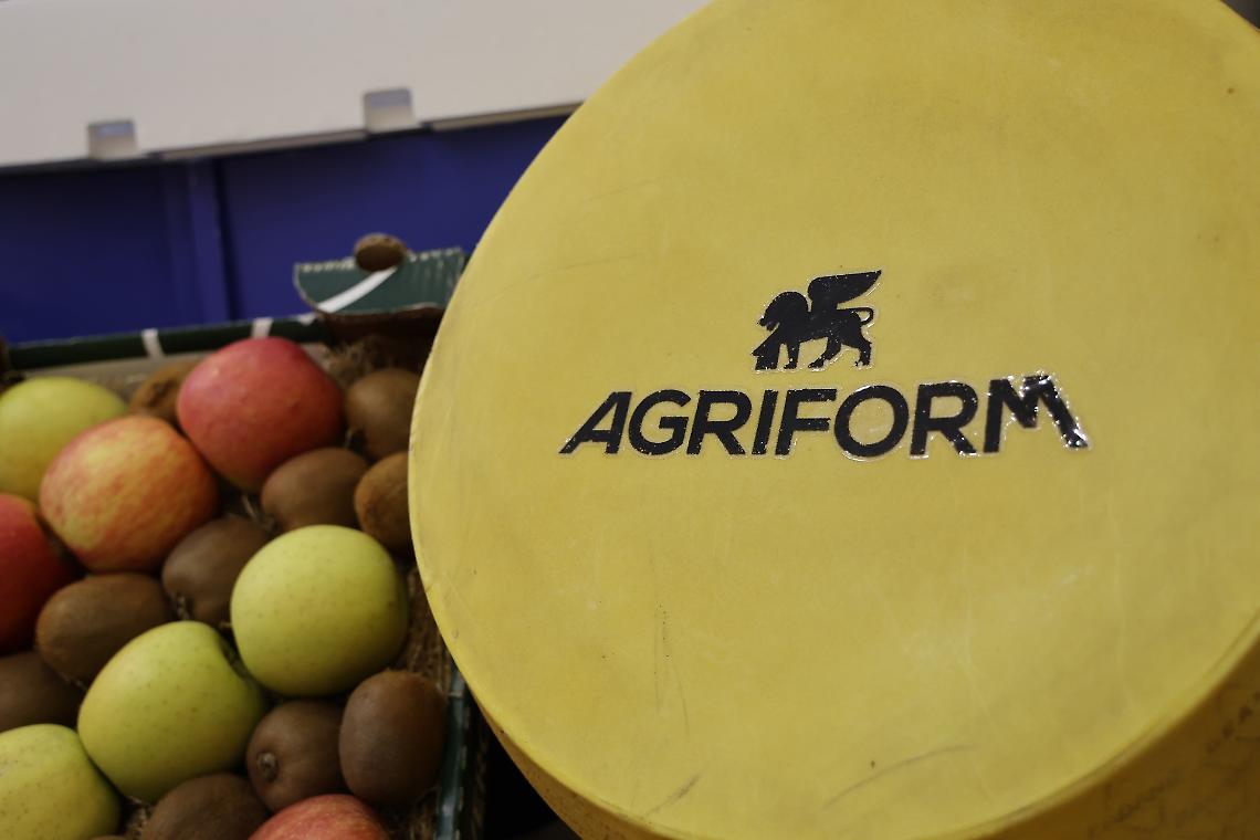 Agroalimentare veneto, Fedagripesca Confcooperative rilancia: 7 miliardi di fatturato e 237 cooperative