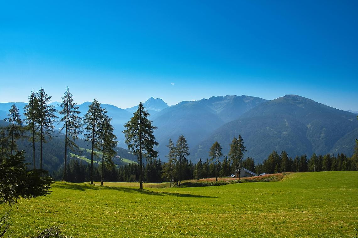 Trentino, le Giornate FAI di Primavera: castelli, chiese e borghi nascosti aprono le porte al pubblico