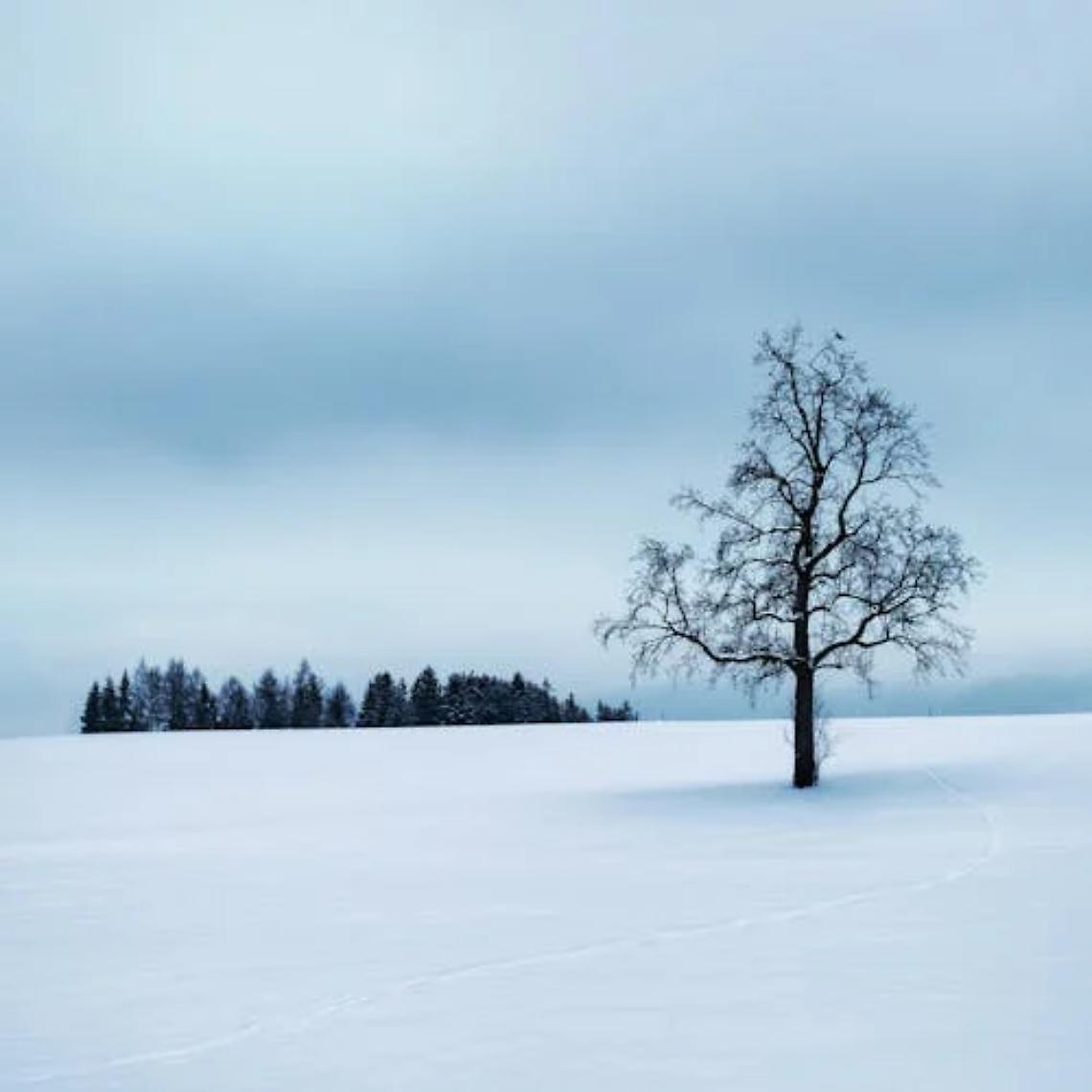 Lozen, Daniele Sodini sfida il freddo: cammina per 4 ore nella neve con solo gli slip e scalzo