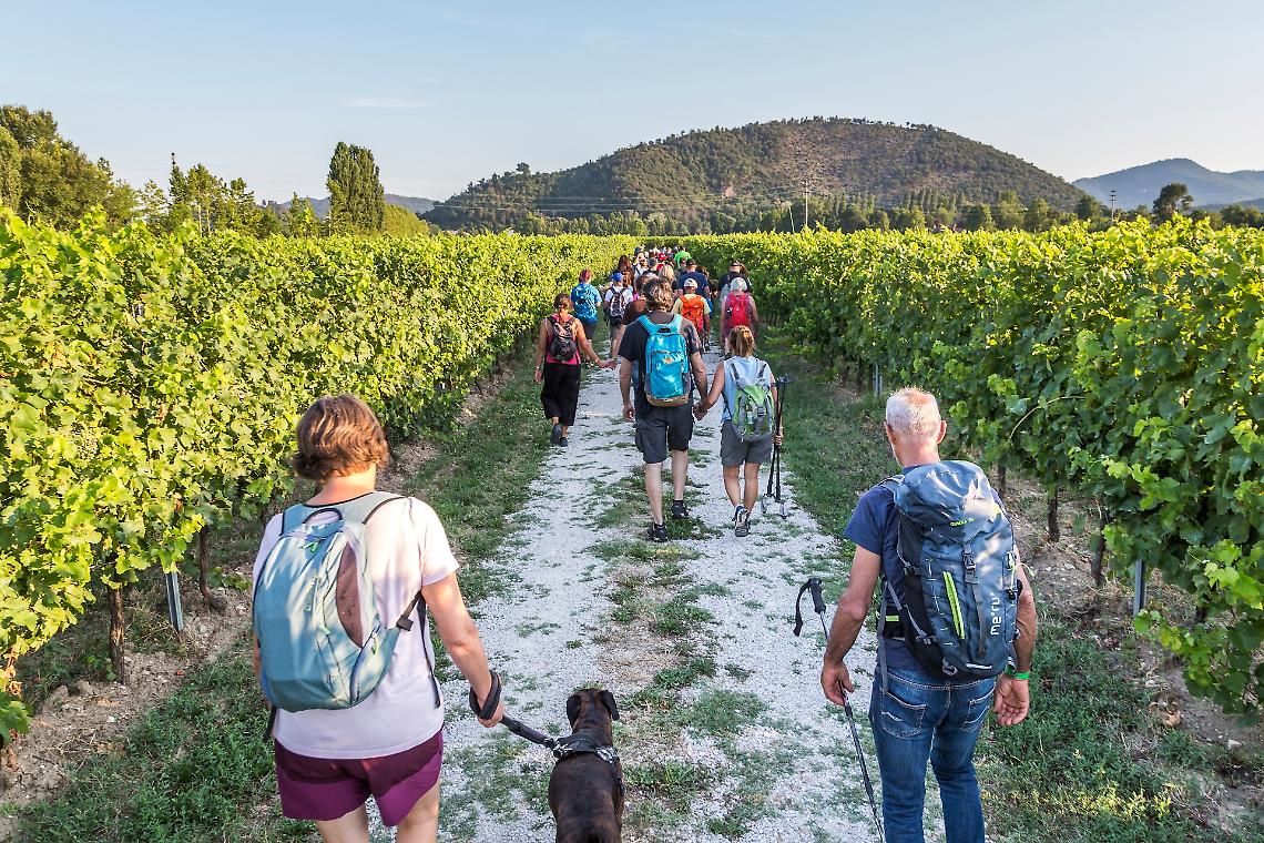 "Sentieri Sonori Junior": alla scoperta dei Colli Euganei con musica e natura