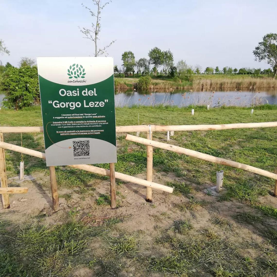 Nasce &ldquo;Oltre la campanella&rdquo;: il doposcuola innovativo che unisce studio e creativit&agrave;