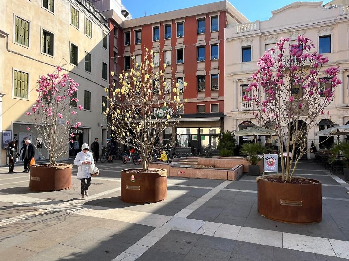 Foto dei fiori in centro a Padova