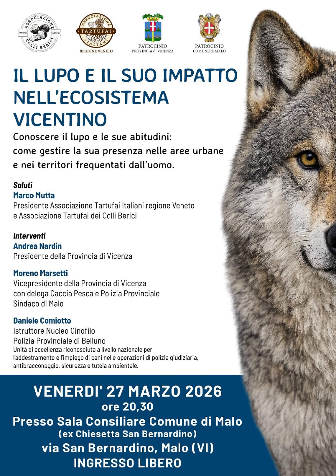 Il lupo e l&rsquo;ecosistema vicentino: incontro pubblico a Malo