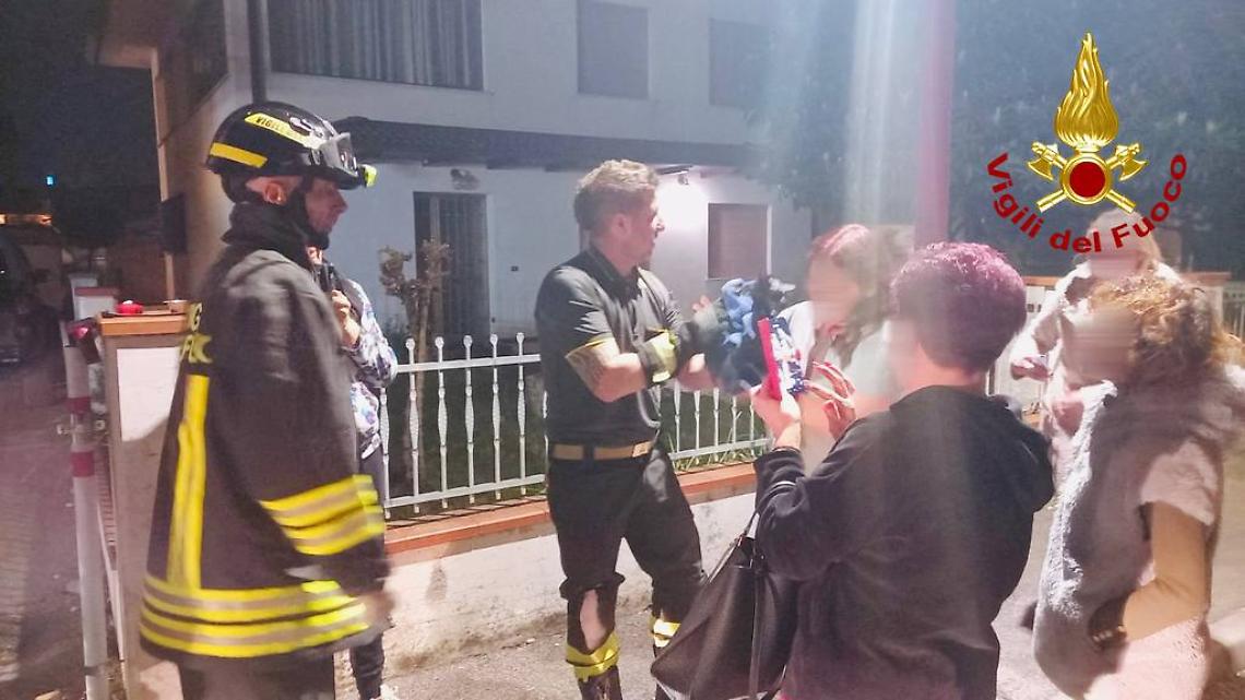 Fontanelle: gattino incastrato in un pozzetto salvato dai Vigili del Fuoco