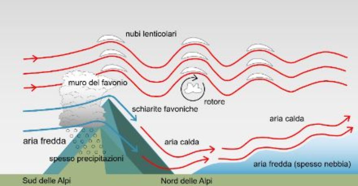 Schema di formazione del Fohen