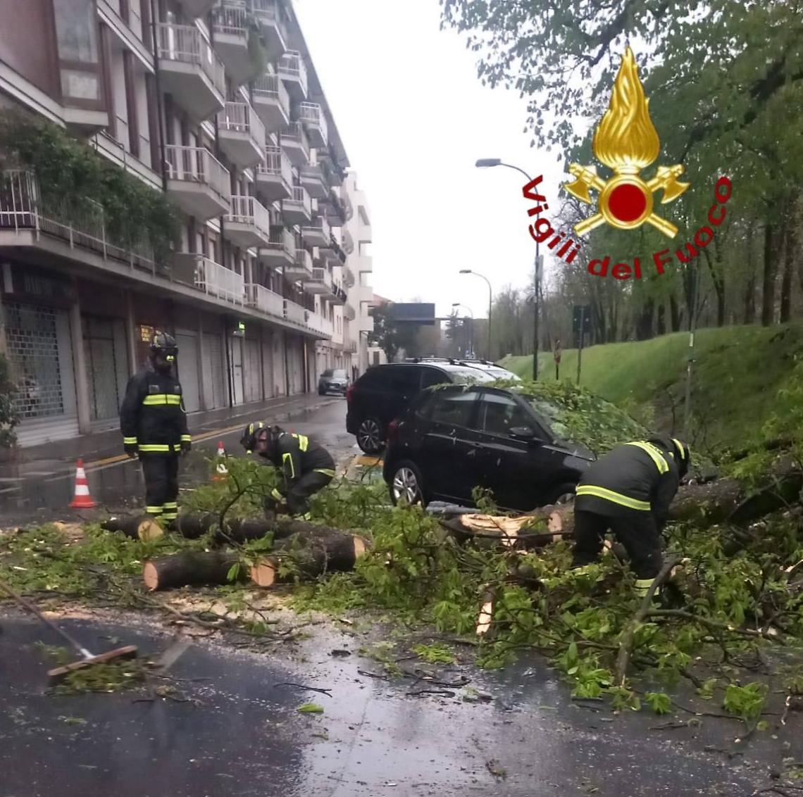 Foto degli interventi