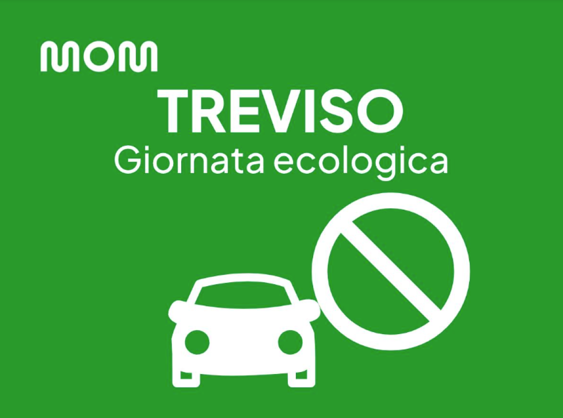 Giornata ecologica Treviso