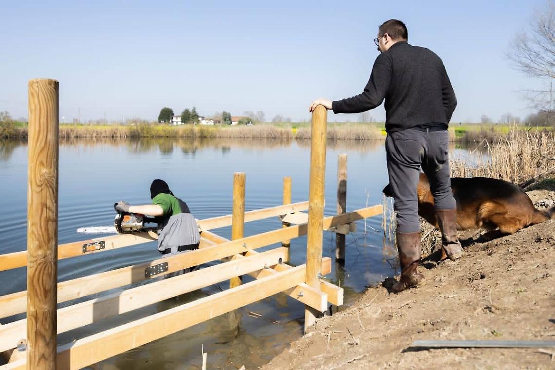 Pettorazza Grimani (Ro)-All&rsquo;Oasi del Gorgo Leze un nuovo pontile in legno