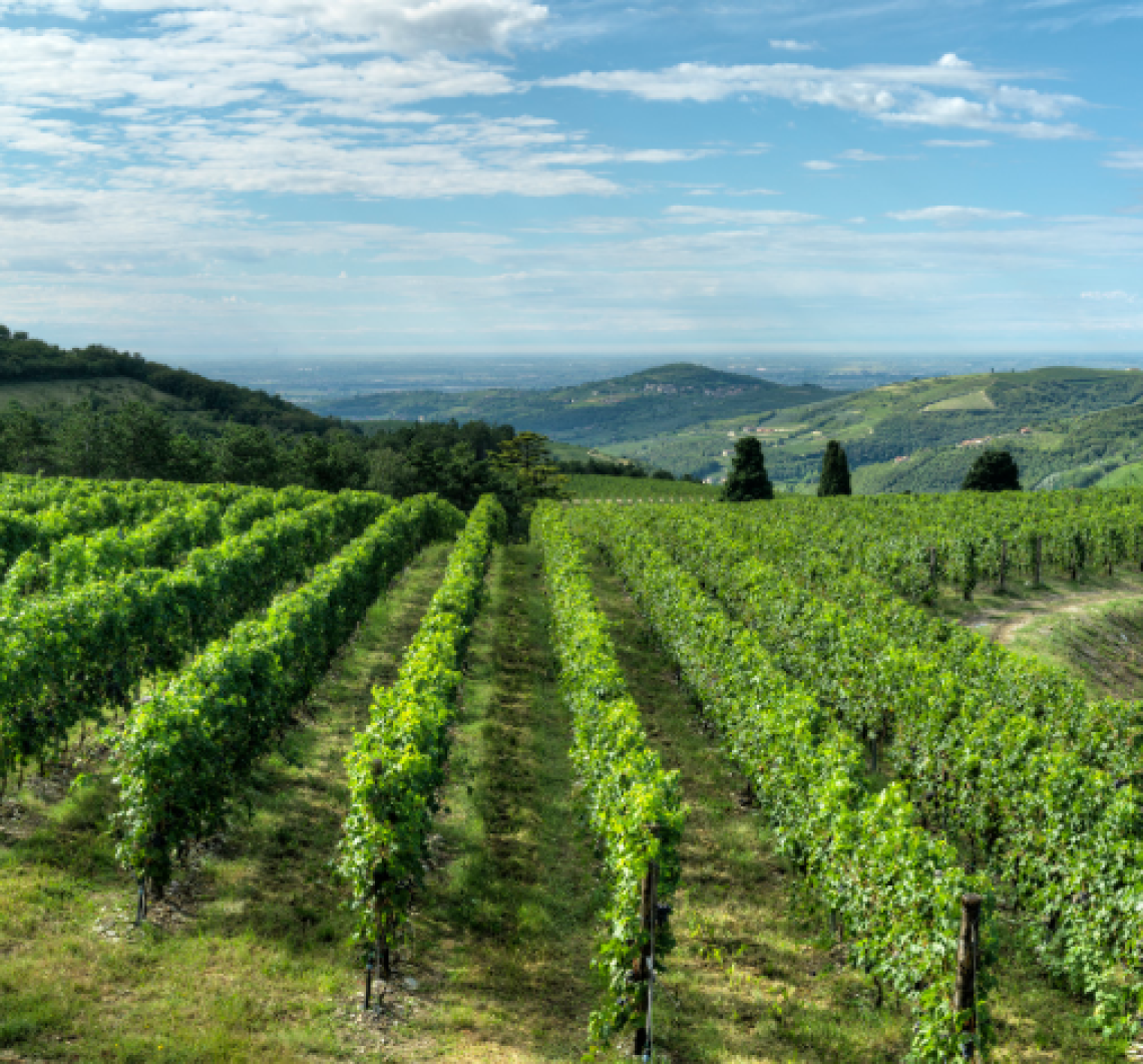Tedeschi rilancia a Vinitaly: nuova identit&agrave; per i Valpolicella