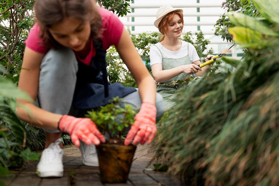 Piove di Sacco: gli studenti agrari si prendono cura del verde della citt&agrave;