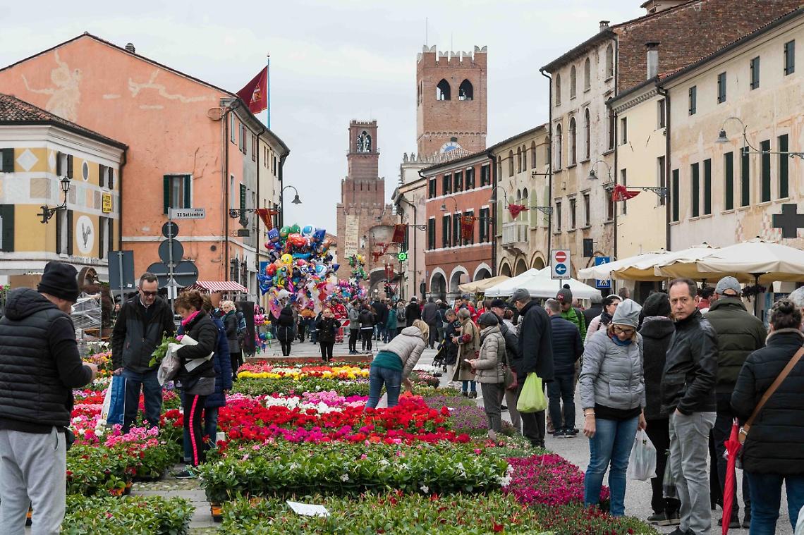 Noale in Fiore, la citt&agrave; sboccia tra colori e tradizioni