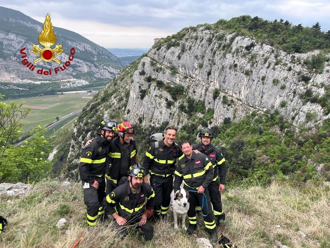 Caprino Veronese, cane intrappolato su una parete: salvato dai Vigili del Fuoco