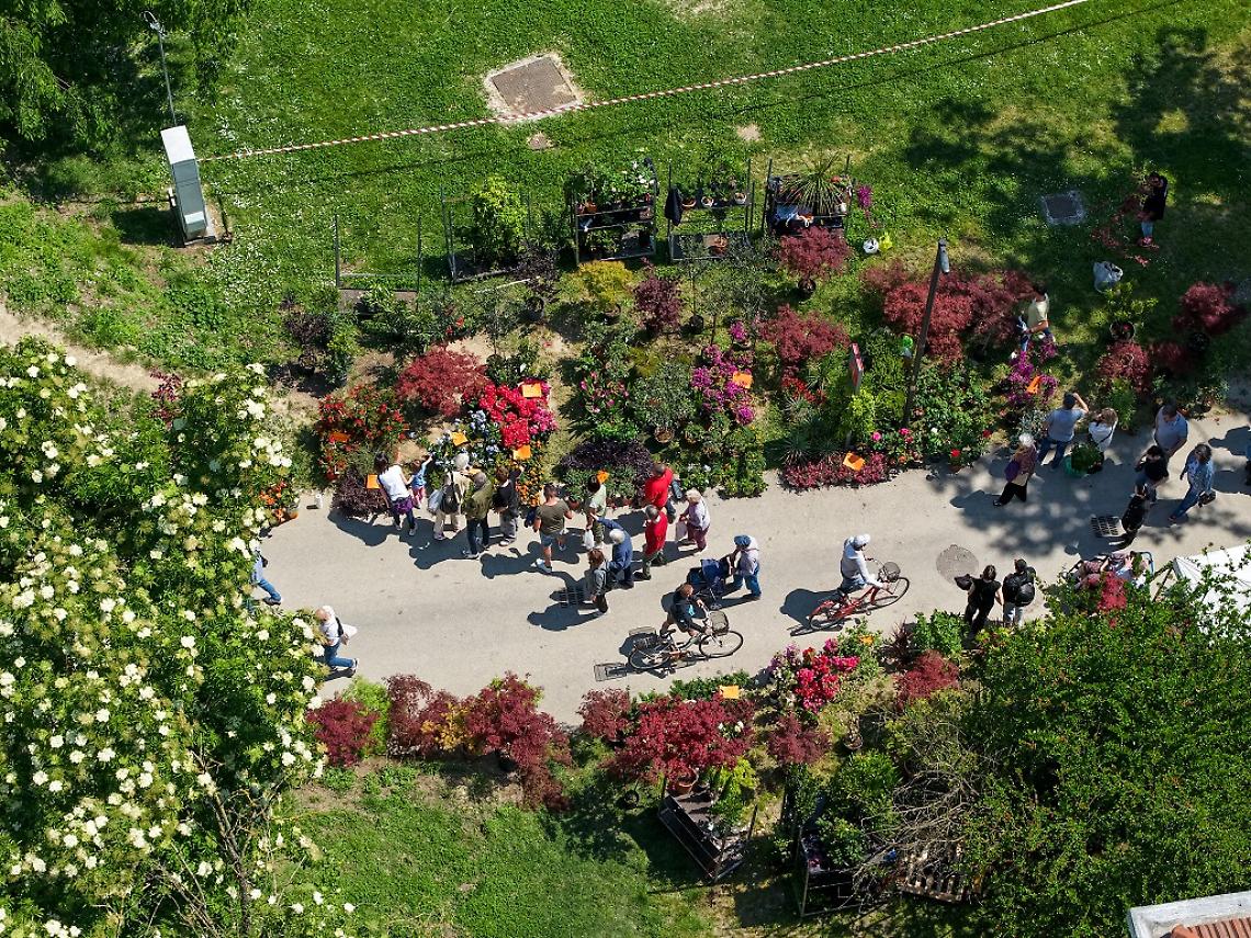 Forte Marghera si colora di primavera: torna &ldquo;Forte in Fiore&rdquo;