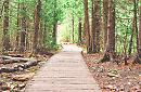 I migliori sentieri da percorrere in Veneto: alla scoperta di natura, storia e panorami mozzafiato