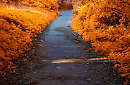 Veneto a colori: 5 passeggiate per ammirare il foliage d'autunno