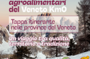 Cortina celebra le eccellenze agroalimentari trevigiane: vini, formaggi e radicchio in prima fila