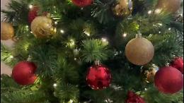 Buon Natale dai Vigili del Fuoco del Veneto