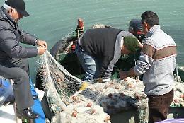 Pesca, Casson scrive al Ministero: “Gli sgravi fiscali non sono aiuti di Stato”