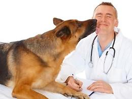 Sterilizzazione: perché consigliarla