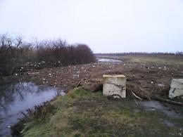 Codevigo: una giornata ecologica per ripulire la valle lagunare