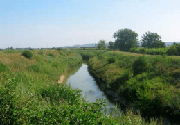 Montagnana: quanto è inquinata l’acqua del Fratta?
