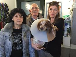 Adozione del cuore a Chioggia: Magica
