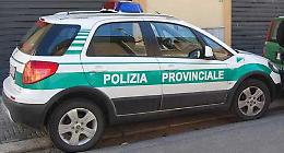 Polizia provinciale, futuro ancora incerto