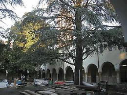 Accademia Artigianato: triste addio
