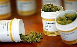 La Cannabis terapeutica (parte 2°)
