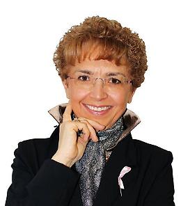 I progetti in cantiere per Ariano nel Polesine