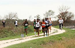 Si corre nel Delta del Po: tutto pronto per la Maratonina