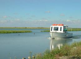 Navigazione nel Delta, un tavolo operativo si riunisce per fronteggiare l'emergenza