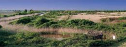 Il Parco del Delta del Po: cosa significa essere Patrimonio Unesco