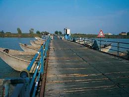 Ponti di barche, Amidei (FI): "Soluzione a un passo"