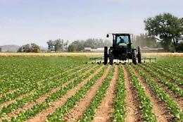 Consumo del suolo, Coldiretti: spariti 5mila ettari di terreno agricolo a Padova