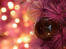 Rovigo, al via il "Natale scintillante"