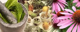 La natura e la Fitoterapia per curarsi