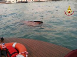 Venezia, incidente alla Giudecca: barca affondata e una persona ferita