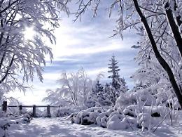 Nevicata notturna in Veneto: fino a 19 centimetri di neve fresca sulle montagne