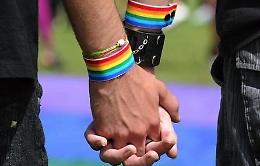 Unioni civili, in carcere i gay che fanno figli all'estero, bufera su Dalla Zuanna