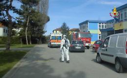 Marghera, invasione di processionaria a scuola: sette bambini in ospedale