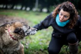 Una vocazione per gli animali: il rifugio Città degli Angeli di Cavarzere