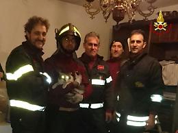 Cervarese Santa Croce: gattino in trappola nel camino, salvato dai pompieri