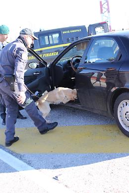 Mogliano Veneto, individuato supermarket della droga, sequestrati 8kg di sostanza