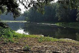 Benessere in natura: Taiji Quan lungo il Brenta