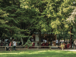 Parco Nuove Gemme, arrivano critiche dai social